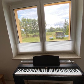 Wald-Zimmer